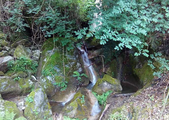 Bed & Breakfast D'hotes La Marlotte 4*