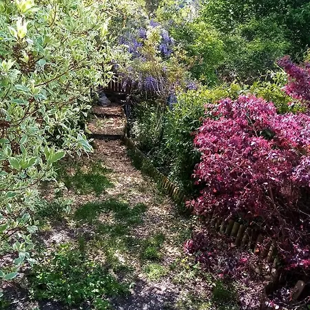 Oda ve Kahvaltı D'hotes La Marlotte Castello-di-Rostino