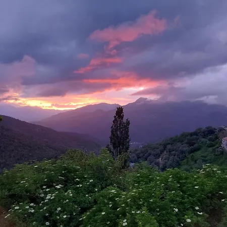D'hotes La Marlotte Bed & Breakfast Castello-di-Rostino