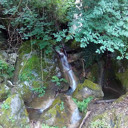 Oda ve Kahvaltı D'hotes La Marlotte 4*