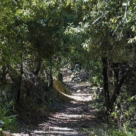 D'hotes La Marlotte Oda ve Kahvaltı 4*