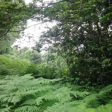 D'hotes La Marlotte Oda ve Kahvaltı 4*