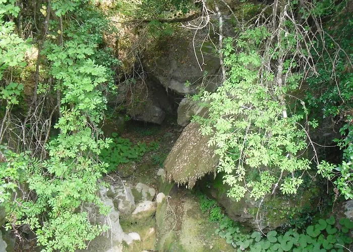 D'hôtes La Marlotte