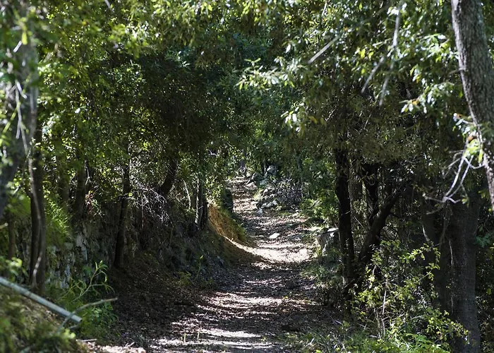 D'hôtes La Marlotte Couette-café 4*