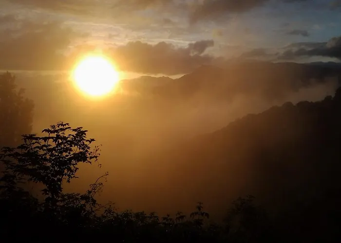 Couette-café D'hôtes La Marlotte