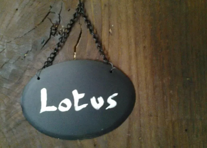 D'hôtes La Marlotte Castello-di-Rostino