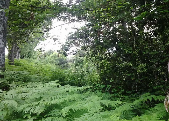 D'hôtes La Marlotte Couette-café 4*